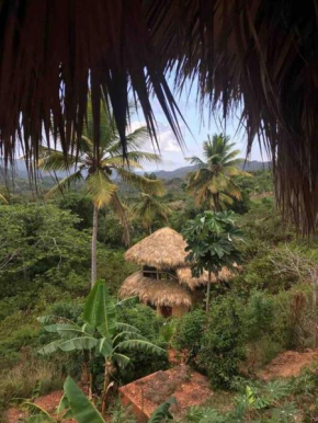 Tropical Cottage en el corazón del caribe